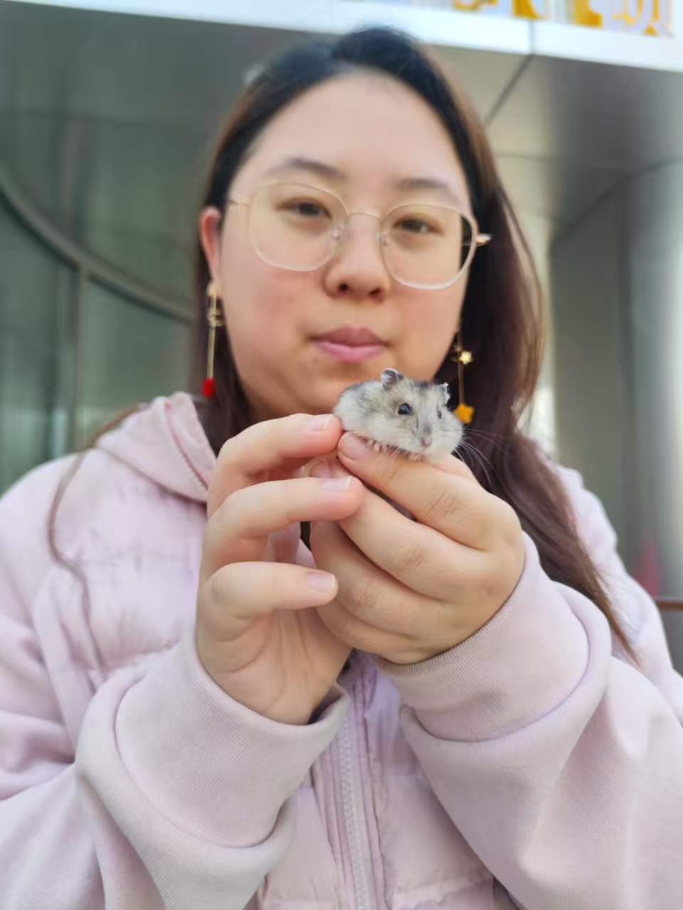 VuePress Hope 图标