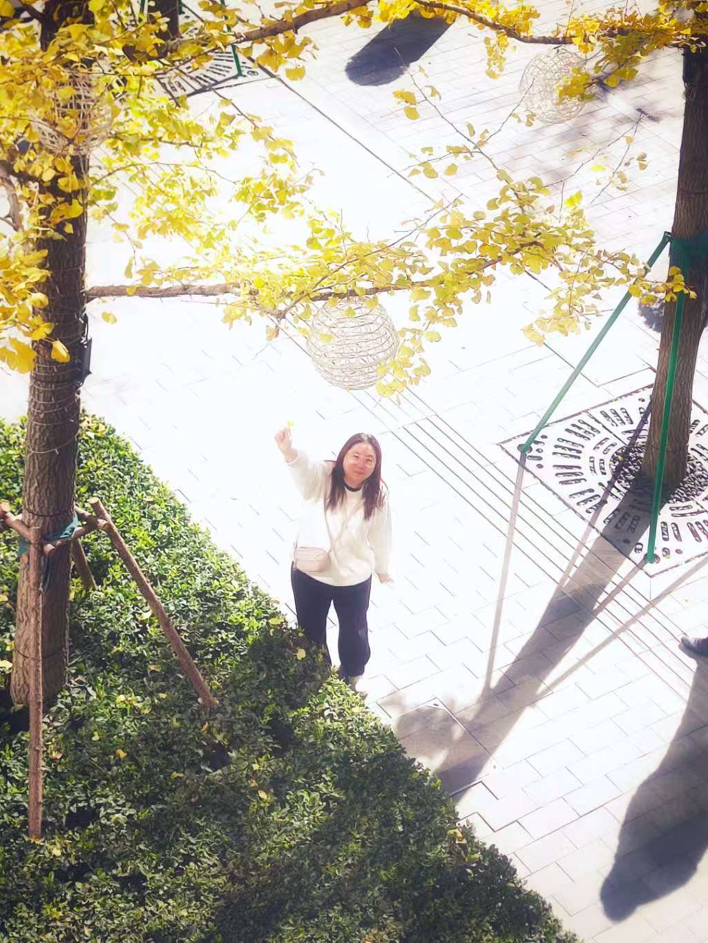 VuePress Hope 图标