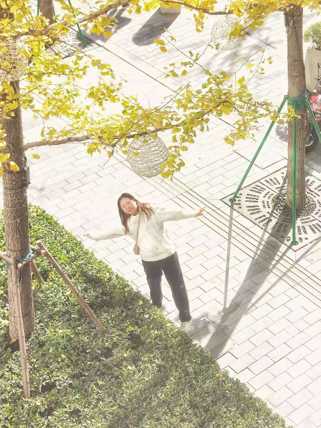 VuePress Hope 图标