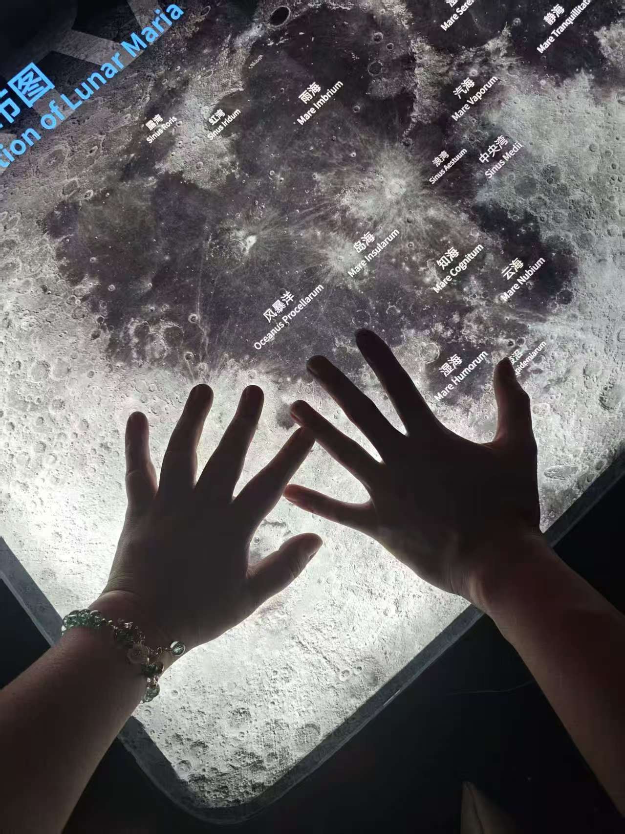 VuePress Hope 图标