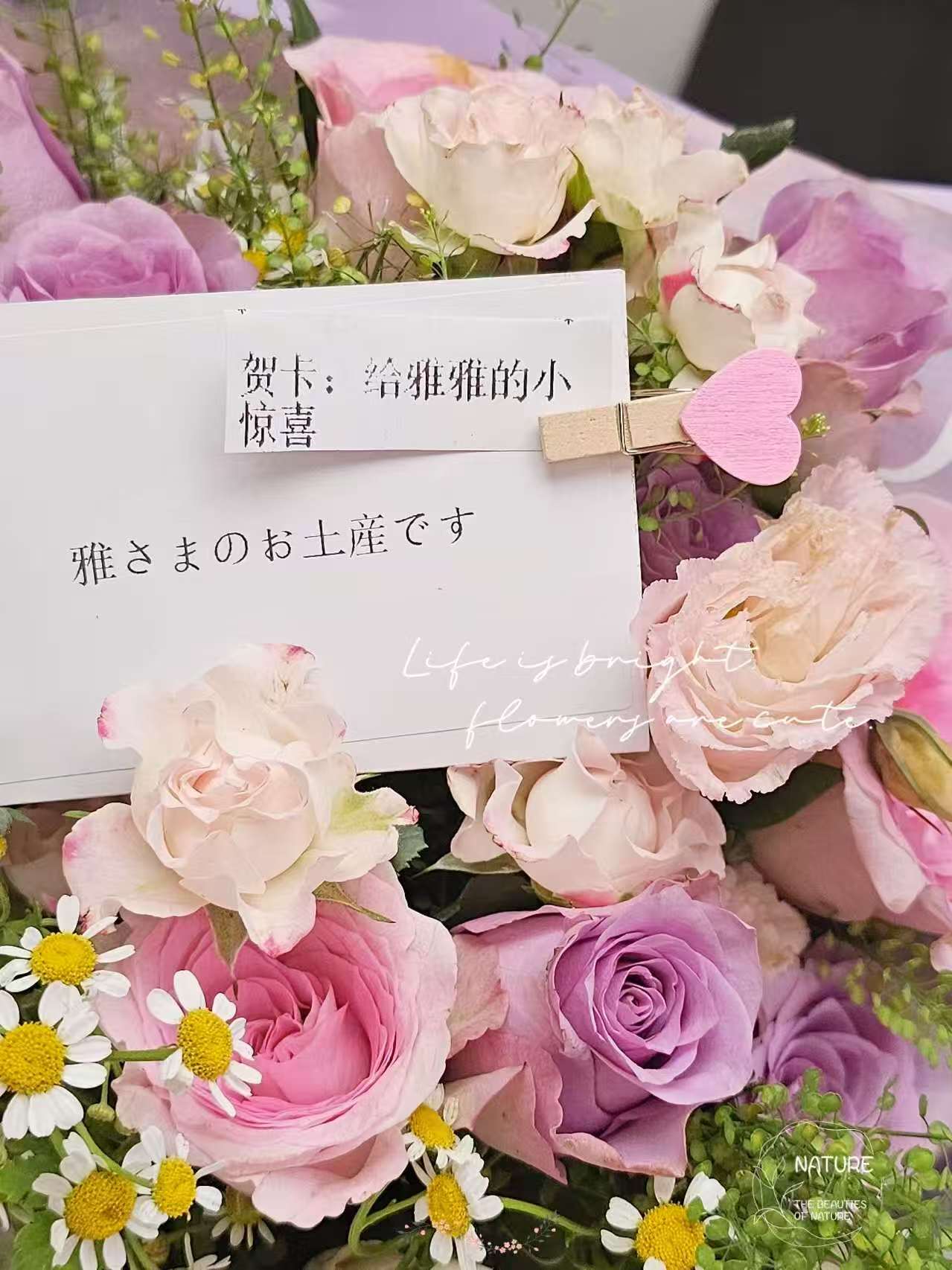 VuePress Hope 图标