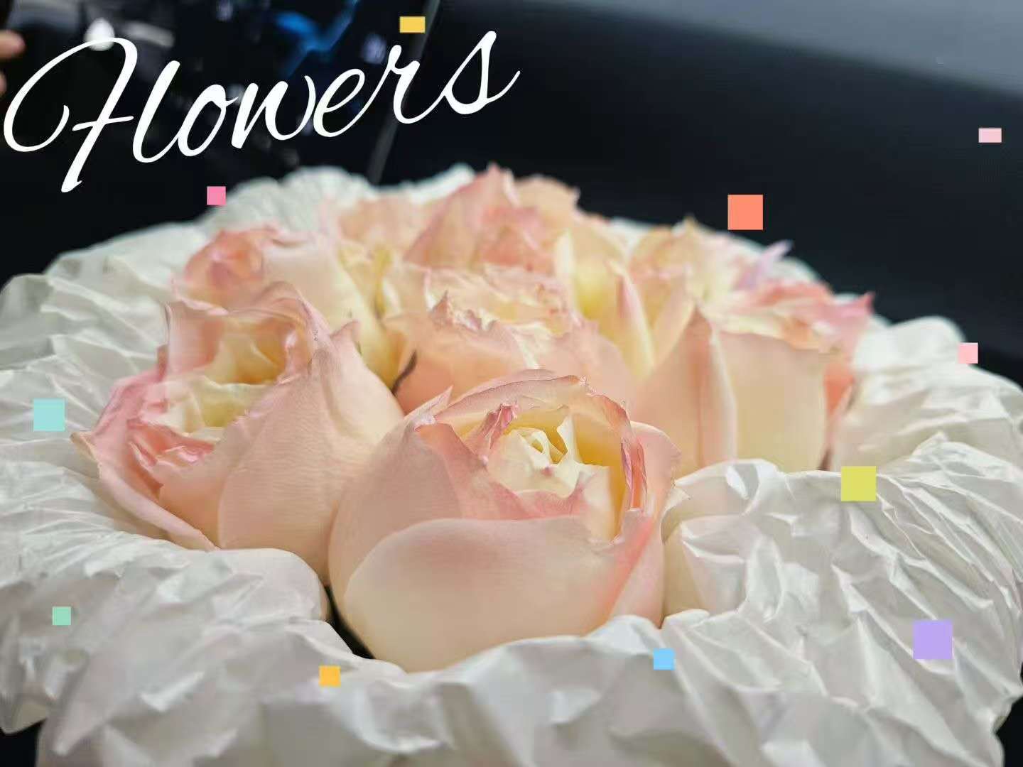 VuePress Hope 图标