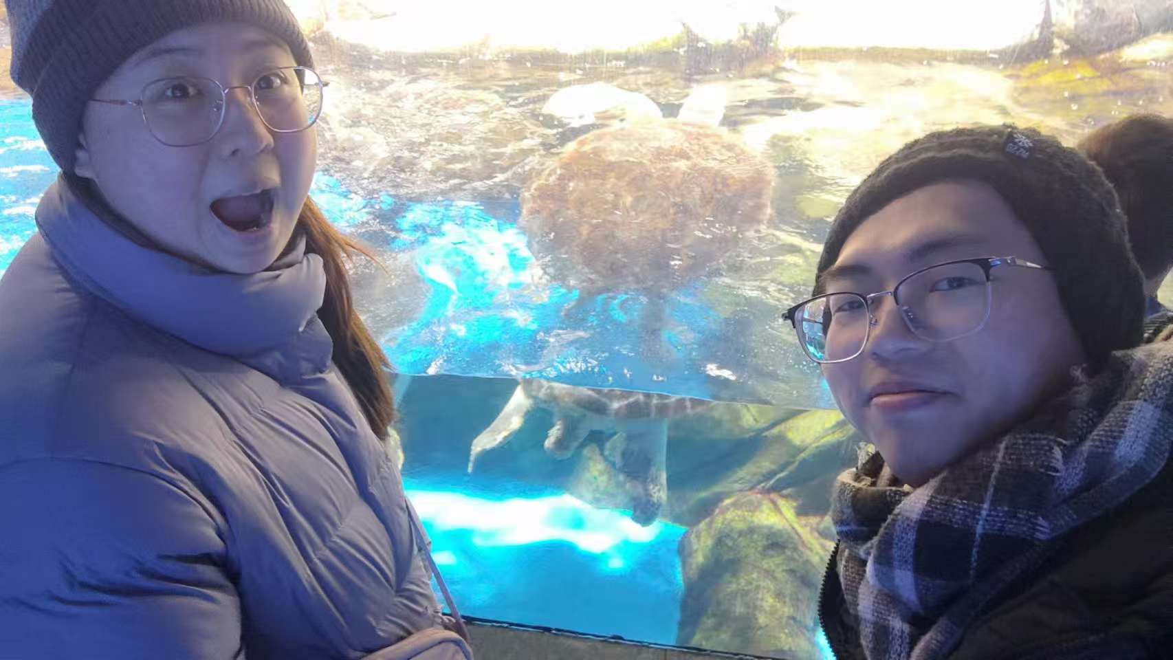 VuePress Hope 图标