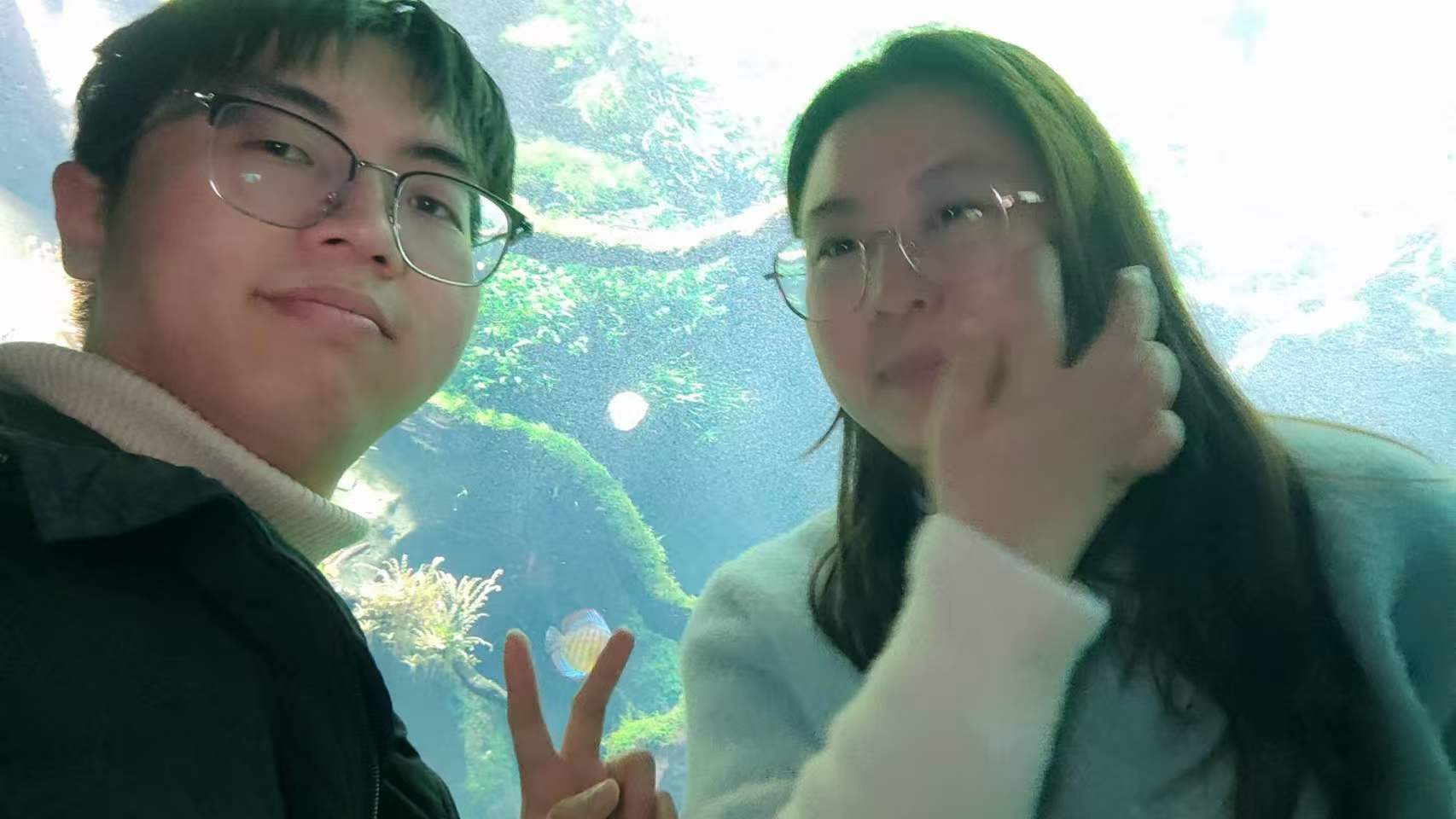 VuePress Hope 图标